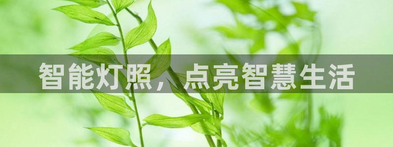 云顶集团官网电话是多少