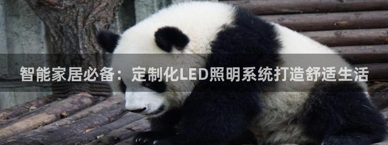 云顶国际平台游戏可靠吗