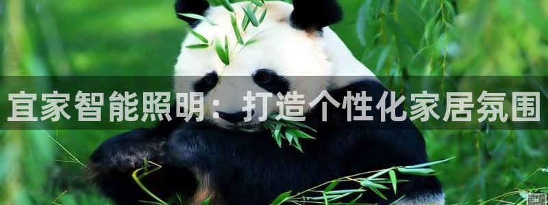 云顶国际ktv会所怎么样