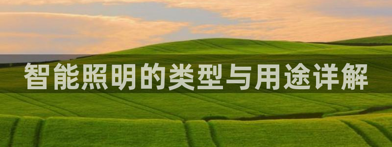 云顶国际公馆二手房出售