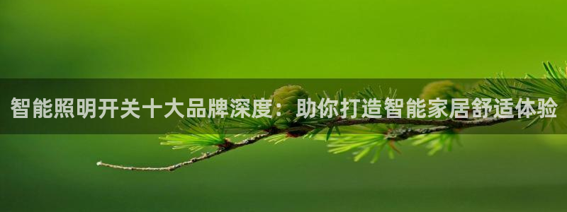 云顶国际酒店老板