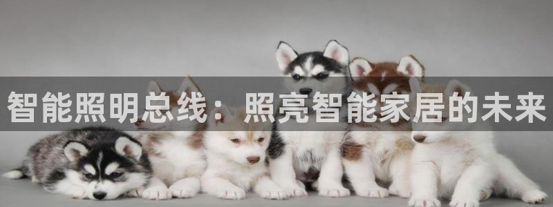 云顶集团游戏app8800