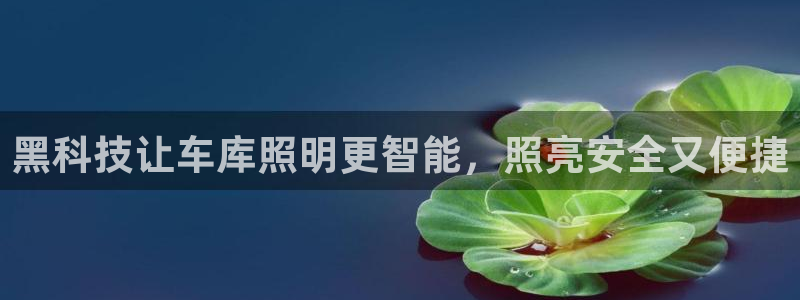 云顶网络游戏平台