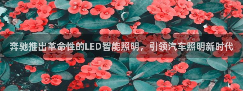 云顶集团网投领头
