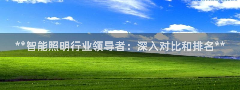 云顶国际晟荣协会