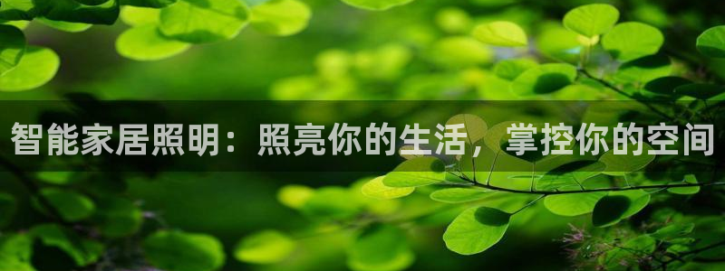 云顶高中国际部学费