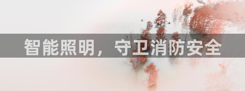 云顶国际怎么进不去了