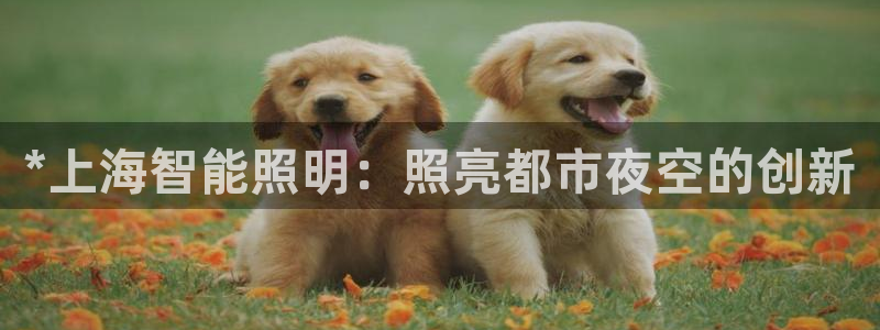 云顶国际服叫什么