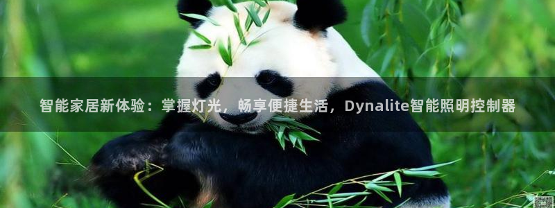 云顶国际停车费怎么收