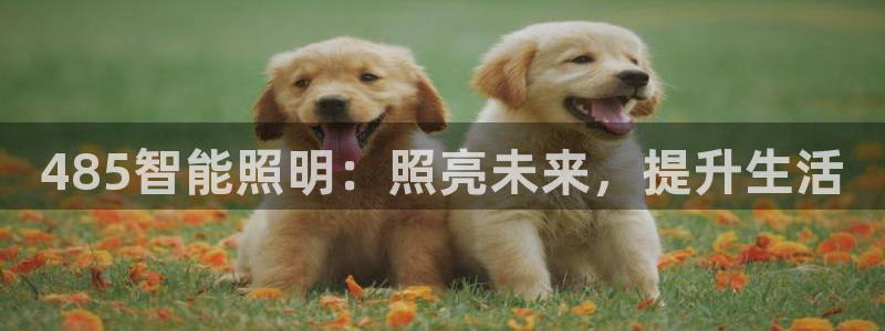 yd云顶集团app下载