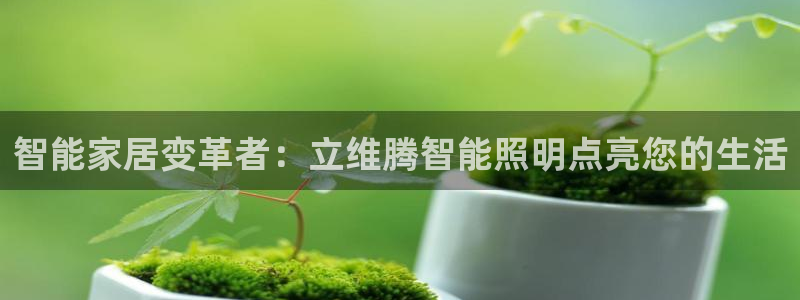 云顶国际提现多久到账户