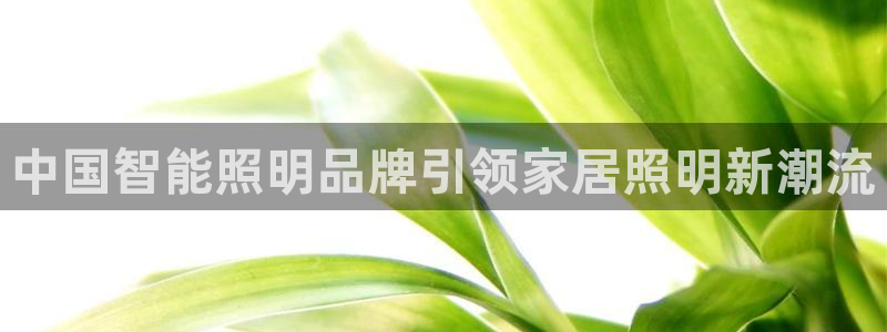 云顶国际服最新版