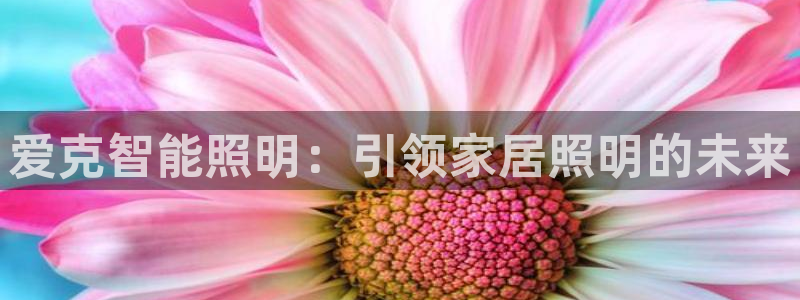 云顶国际平台是黑平台吗知乎