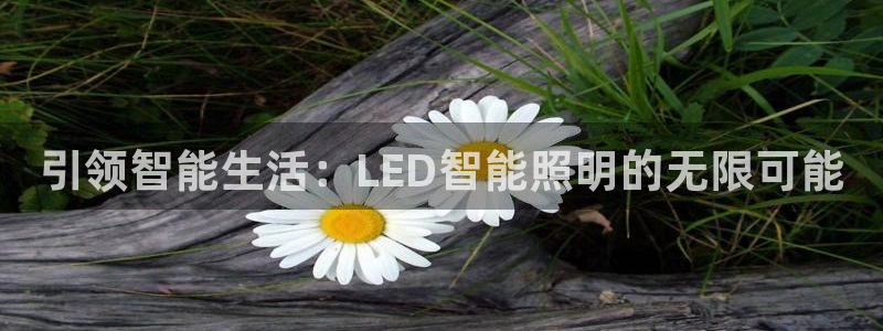 云顶集团gentinggroup