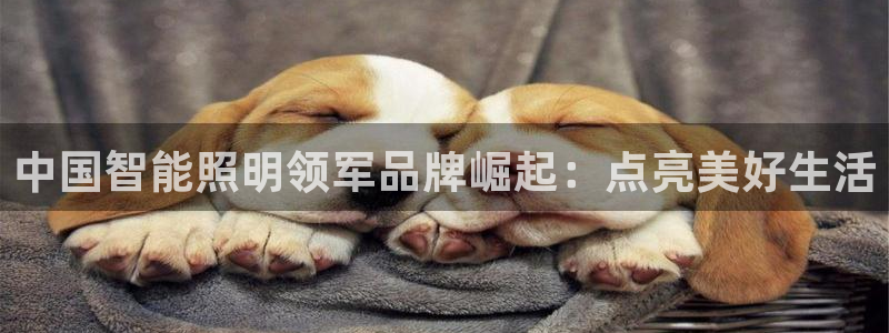 云顶国际大酒店位于