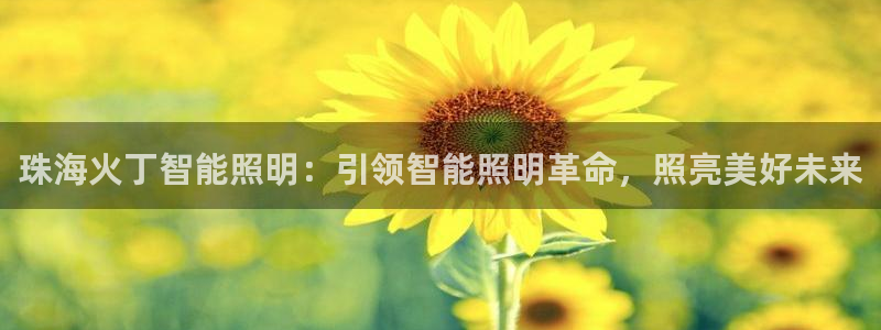 云顶国际服