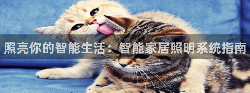 云顶集团公司简介图片