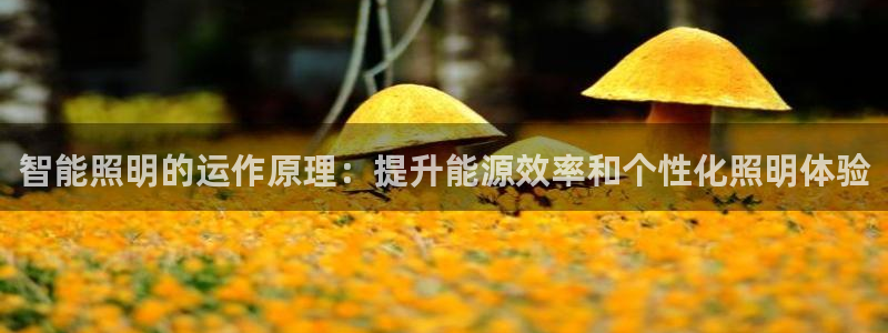 云顶国际大酒店位于哪个街道
