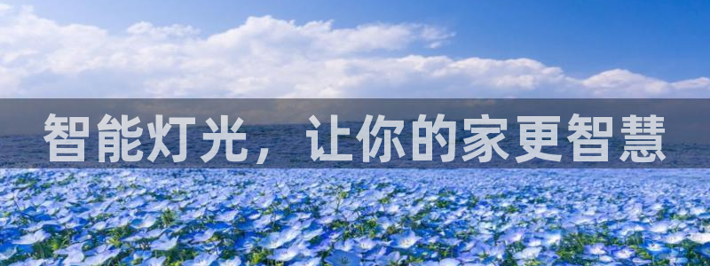 云顶集团网页