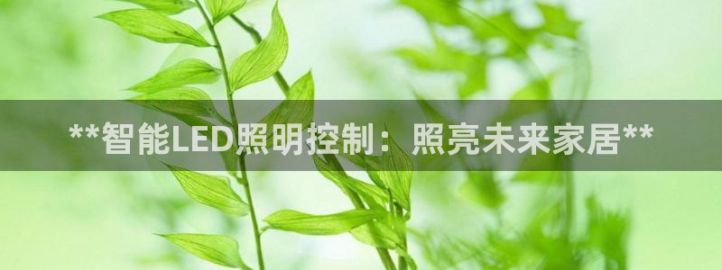 云顶集团中国区执行总裁是谁