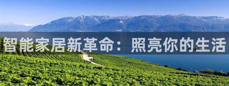 云顶国际服汉化