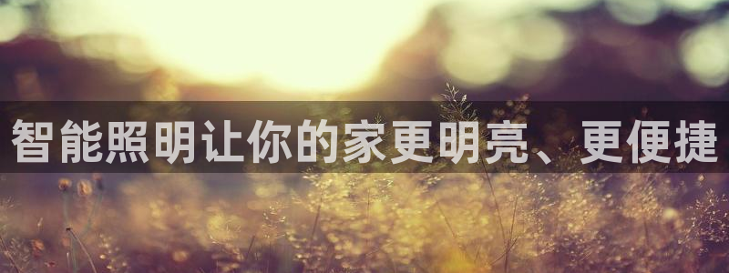 云顶国际足球app下载