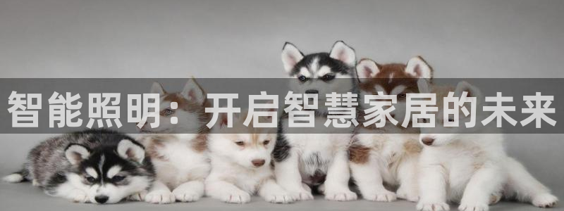 云顶国际商业广场 停车