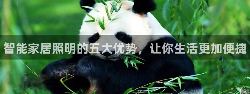 云顶国际能提现吗知乎