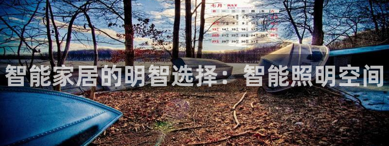 云顶集团简介资料