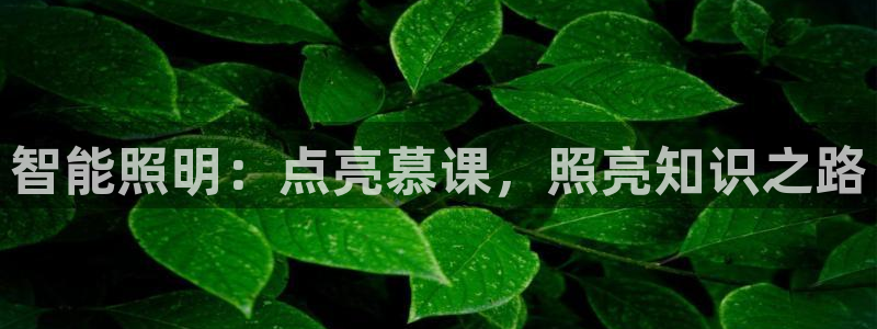 云顶国际百姓渔村