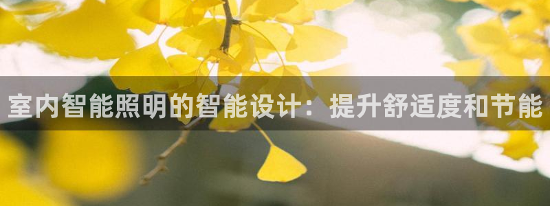 云顶国际商务会所地址