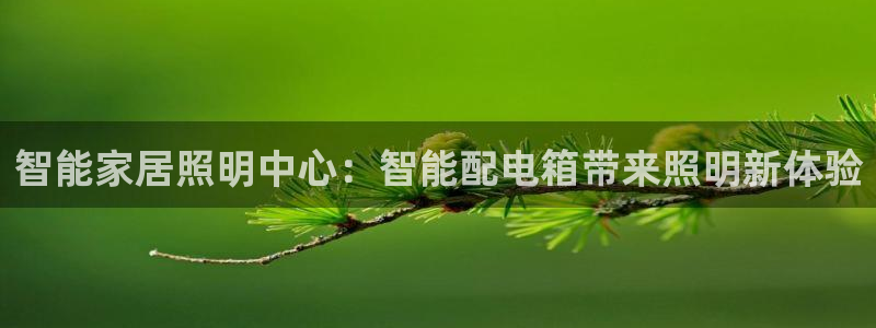 云顶国际大酒店位于哪里