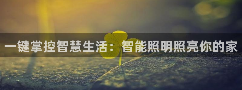 云顶国际网站是多少