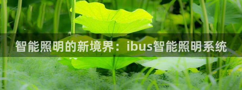 云顶国际是正规游戏吗安全吗