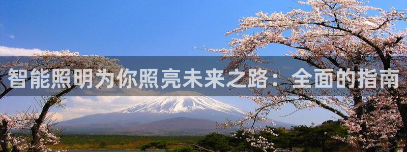 云顶国际服更新时间