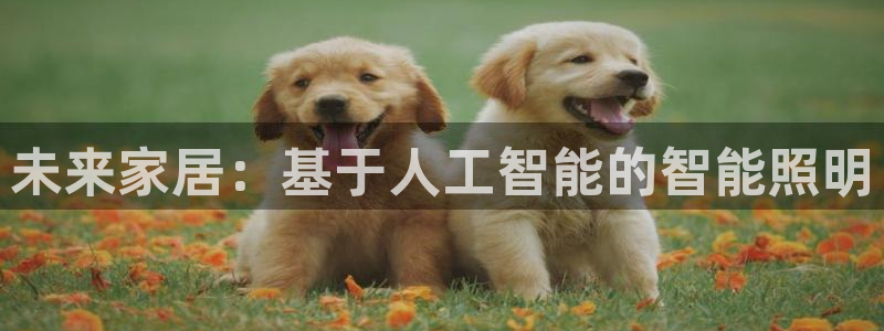 云顶国际足球app下载安装