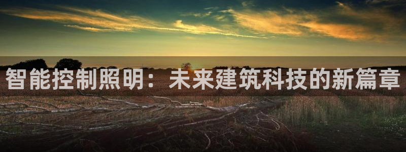 云顶国际测试服免费