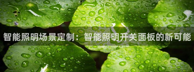 云顶集团简介资料