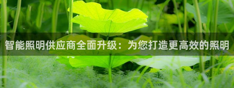 云顶国际的客服几点在线