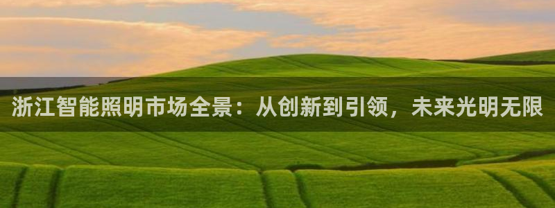 云顶国际游戏网址
