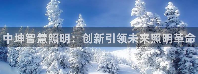 云顶集团 中国排名第几