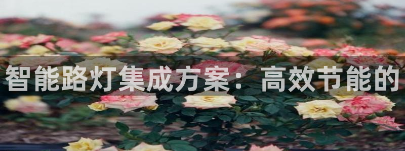 云顶国际会所电话：智能路灯集成方案：高效
