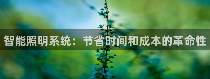 云顶国际体育官方网站下载