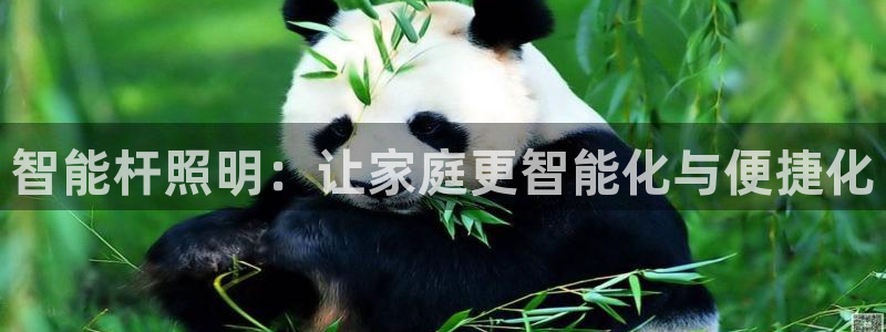 云顶国际物流电话