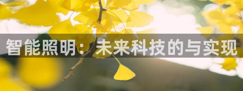 云顶国际被黑