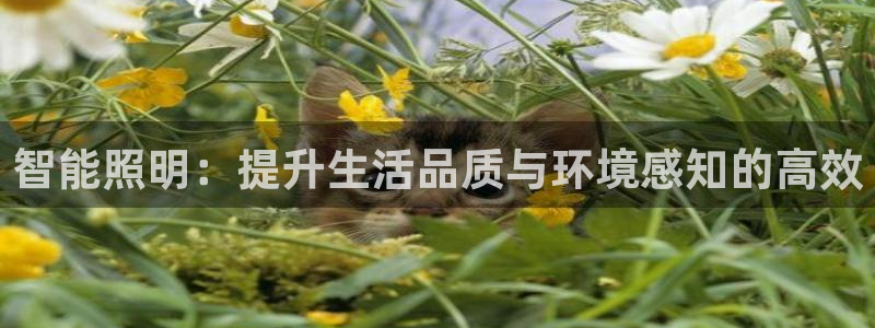 云顶国际是黑台吗还是白台