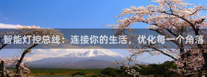 云顶国际服联机