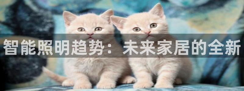 云顶国际官网官方下载