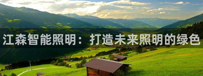 云顶国际物流官网