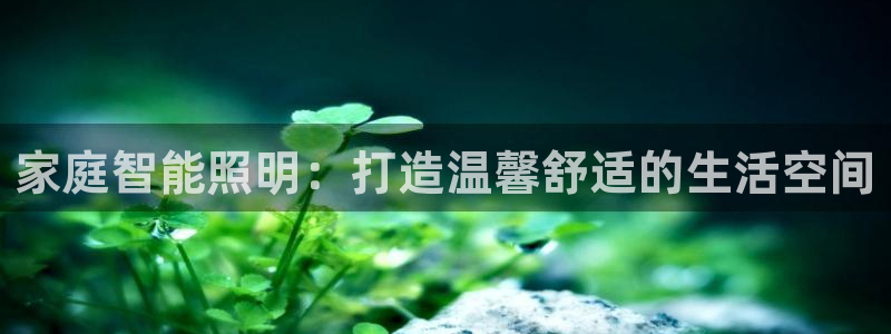 云顶国际集团 深圳